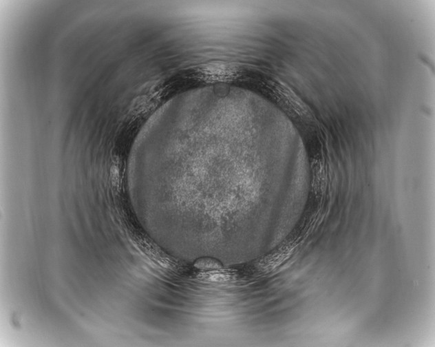 X0000098070655200804181134