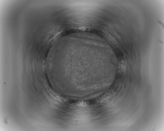 X0000098070656200804181134