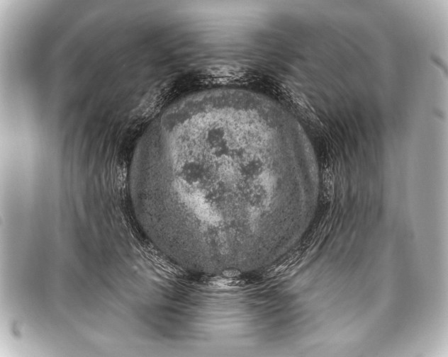 X0000098070657200804181134