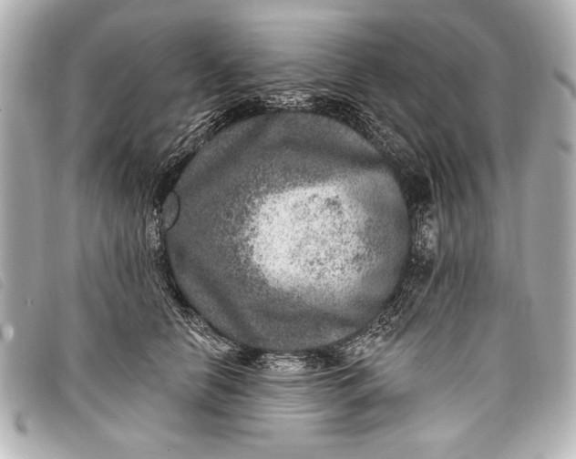 X0000098070658200804181134