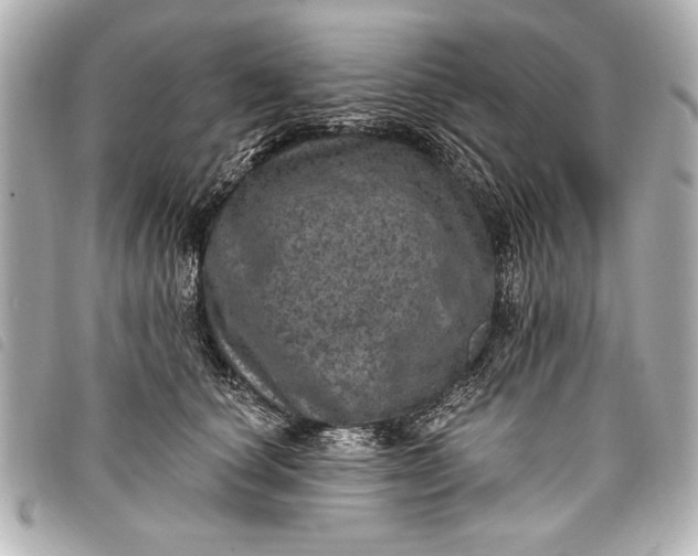 X0000098070660200804181134