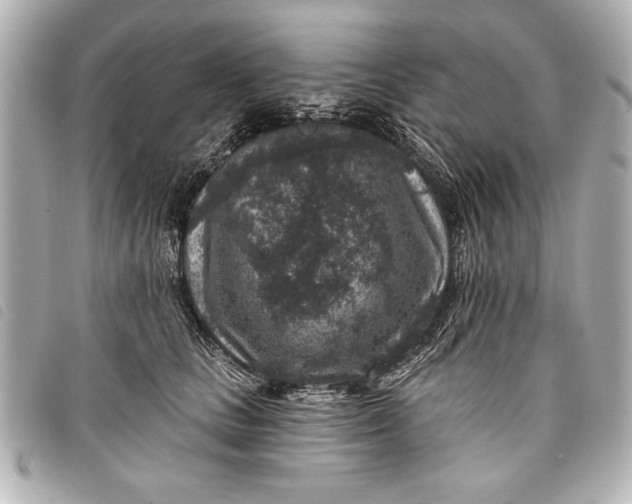 X0000098070661200804181134