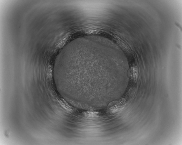 X0000098070664200804181134