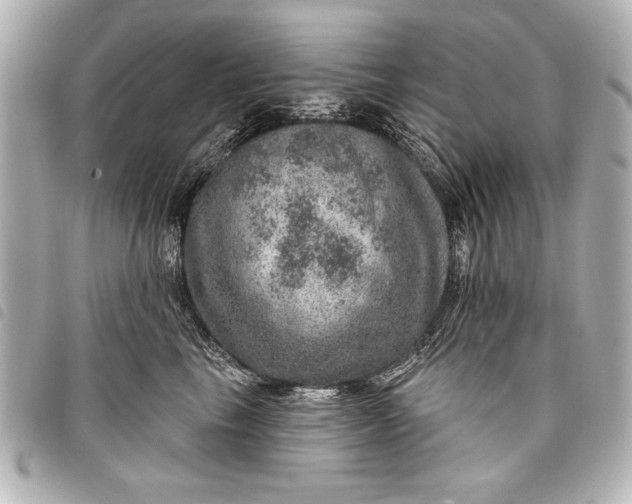 X0000098070665200804181134