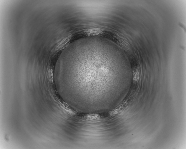 X0000098070666200804181134