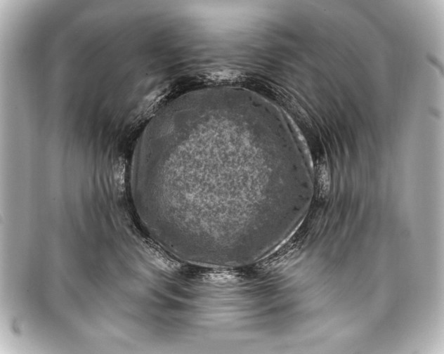 X0000098070668200804181134