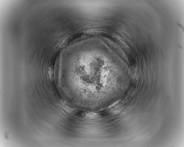 X0000098070669200804181134