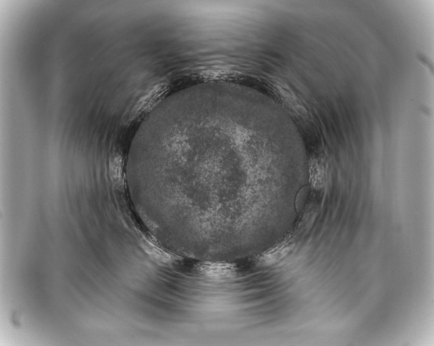 X0000098070670200804181134