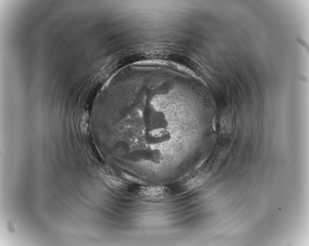 X0000098070671200804181134