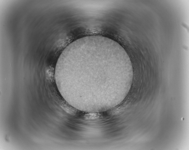 X0000098070672200804181134