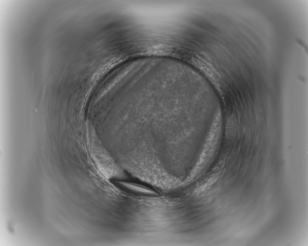 X0000098070673200804181133