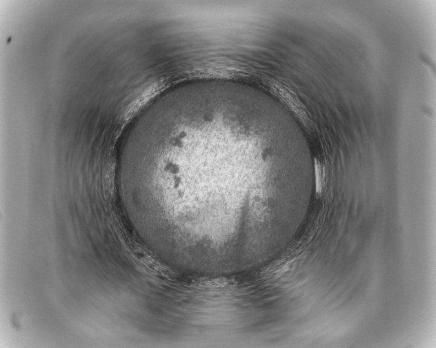 X0000098070675200804181133