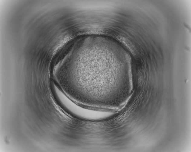 X0000098070677200804181133