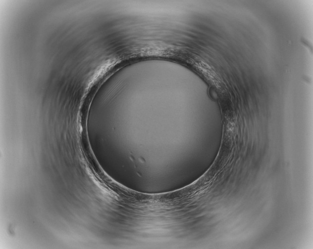 X0000098070678200804181133