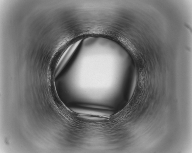 X0000098070680200804181133