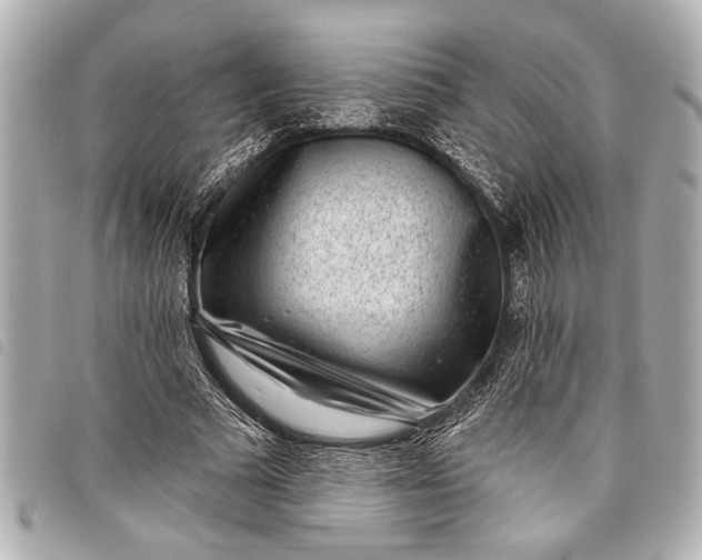 X0000098070681200804181133