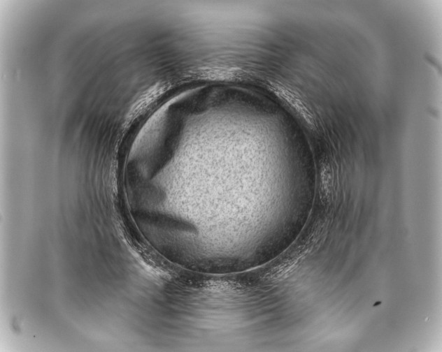 X0000098070682200804181133