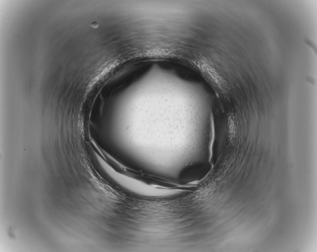 X0000098070684200804181133