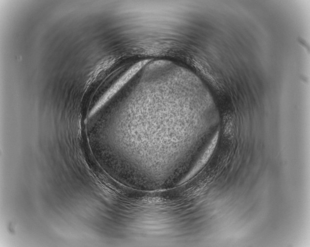 X0000098070685200804181133