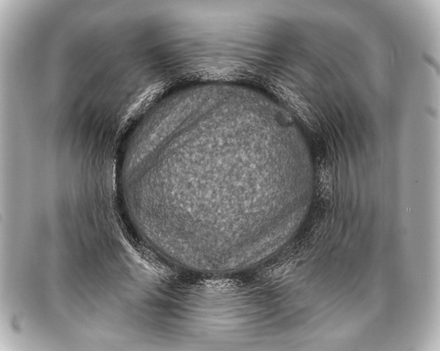 X0000098070686200804181133