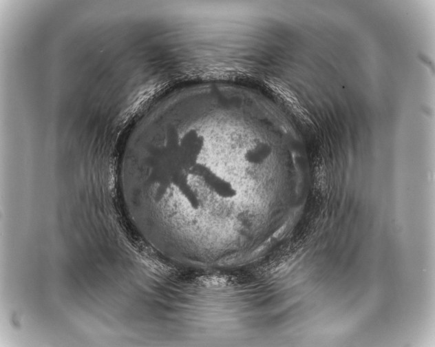 X0000098070687200804181133