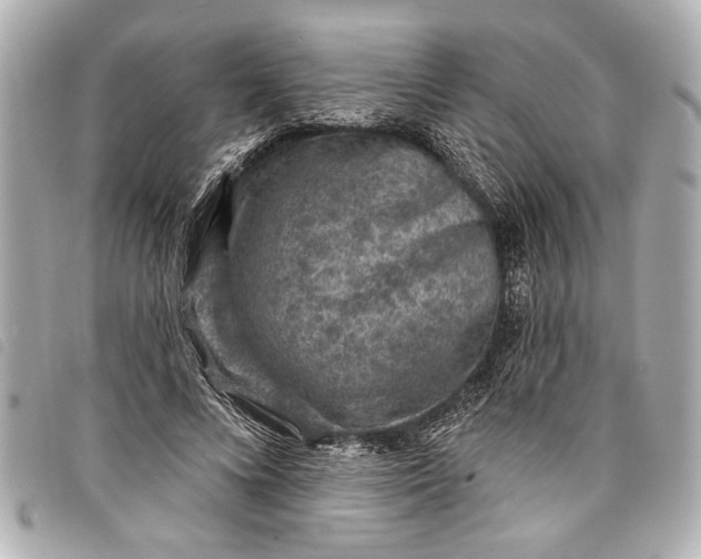 X0000098070688200804181133