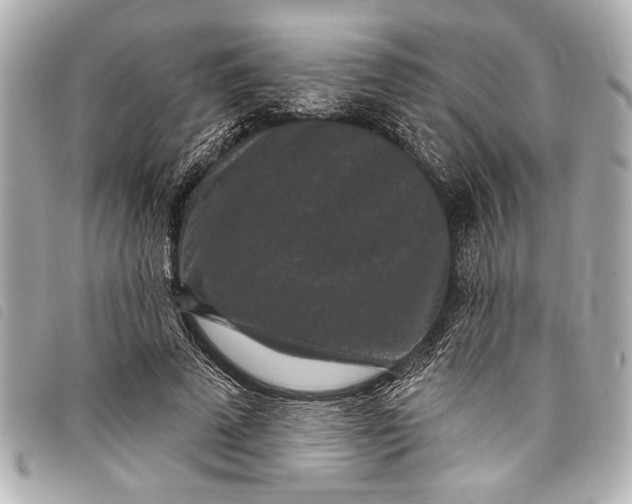 X0000098070689200804181133