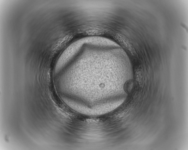 X0000098070690200804181133