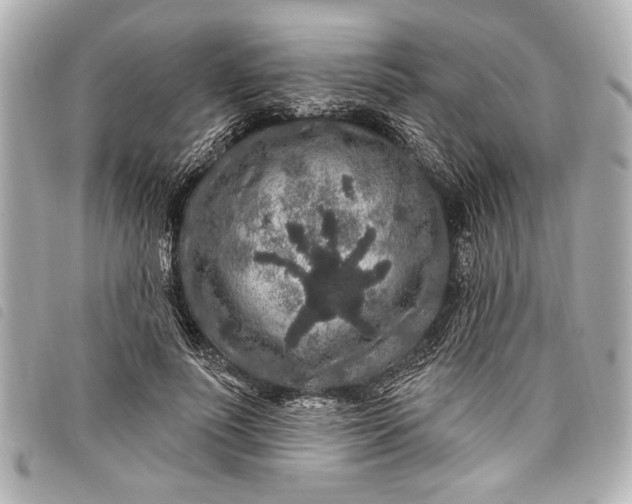 X0000098070691200804181133