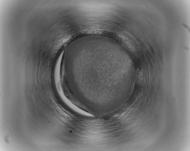 X0000098070692200804181133