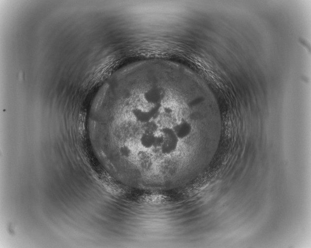 X0000098070695200804181133