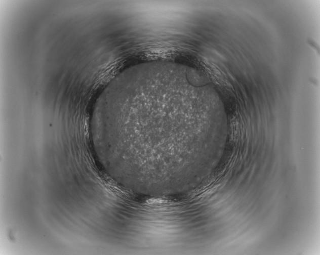 X0000098070699200804181133