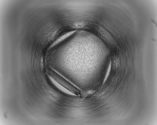 X0000098070700200804181133