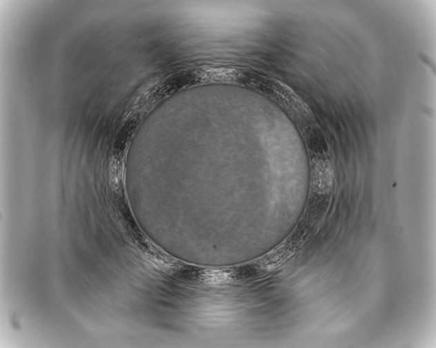 X0000098070701200804181133