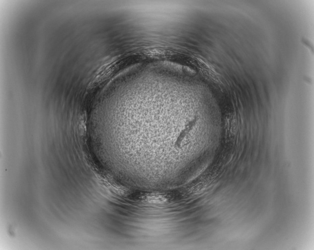 X0000098070702200804181133