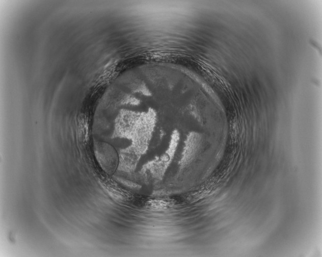 X0000098070703200804181133