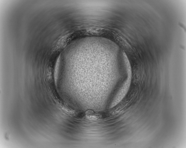 X0000098070706200804181133