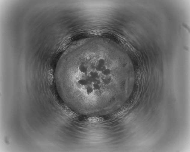 X0000098070707200804181133