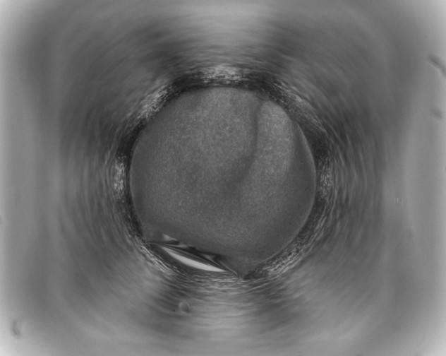 X0000098070708200804181133