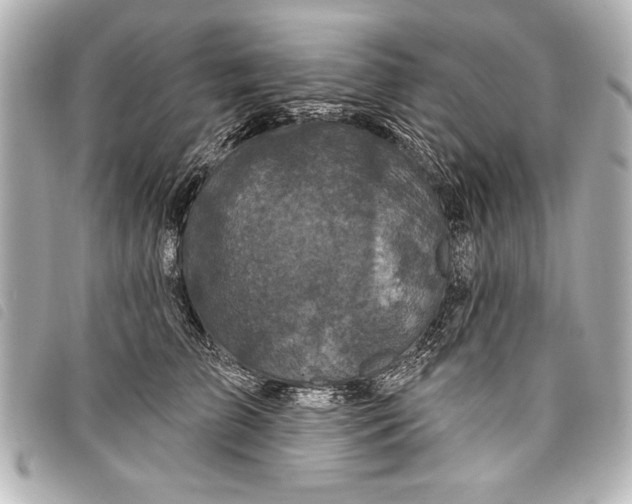 X0000098070709200804181133