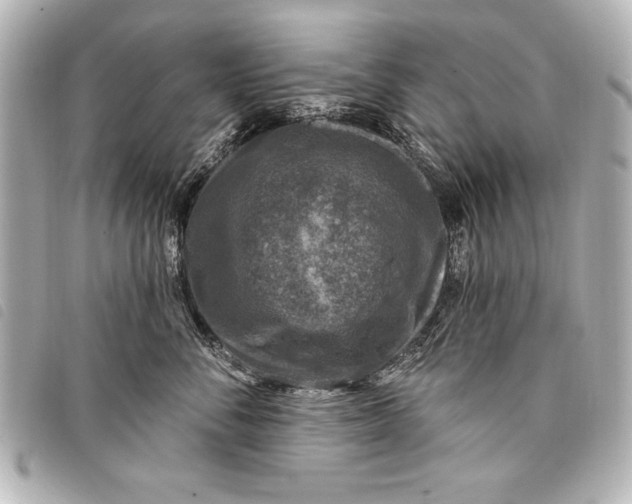 X0000098070716200804181133