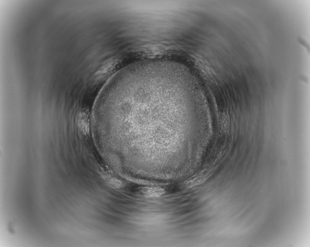 X0000098070719200804181133