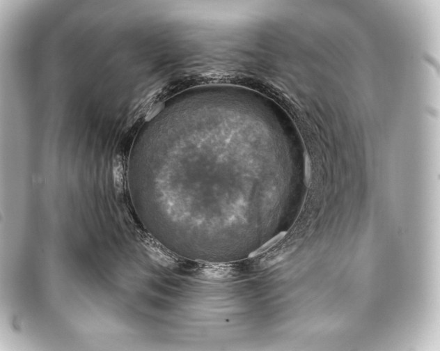 X0000098070720200804181133