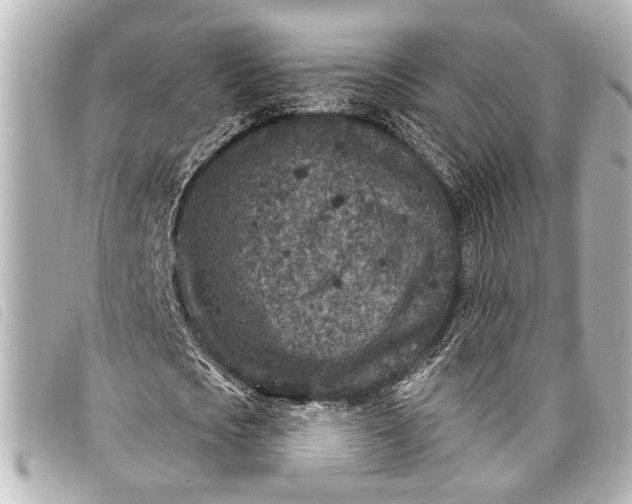 X0000098070721200804181132