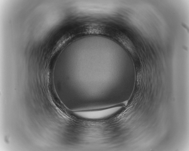 X0000098070722200804181132