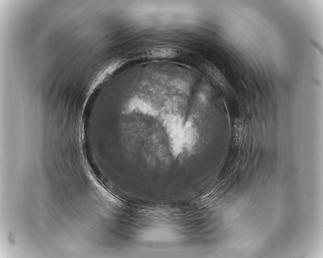 X0000098070726200804181132