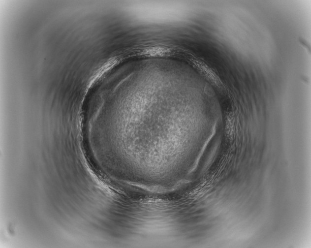 X0000098070730200804181132