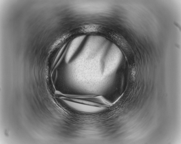 X0000098070732200804181132