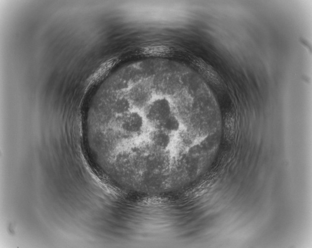 X0000098070734200804181132