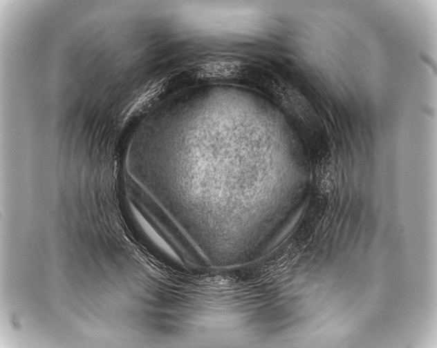 X0000098070735200804181132